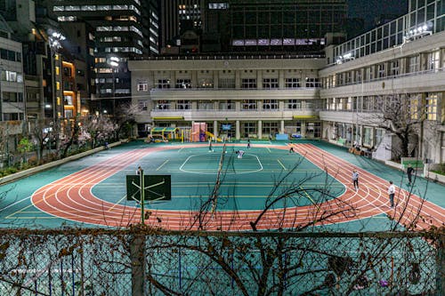 场把进球数
